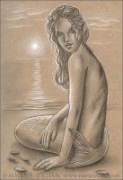 Seashells And Moonlight